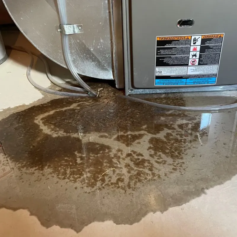 Pipe Burst and Leak Restoration in Morganfield, KY