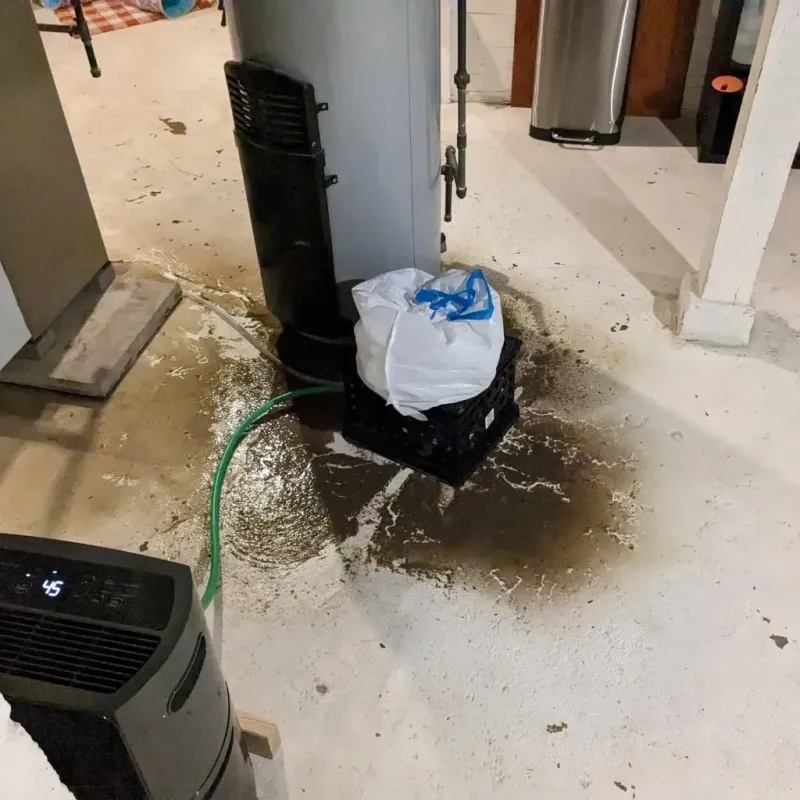 Sewage Backup Cleanup Service in Morganfield, KY